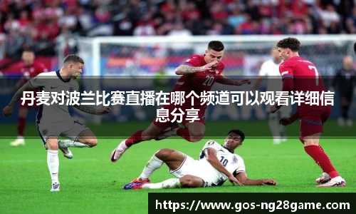丹麦对波兰比赛直播在哪个频道可以观看详细信息分享